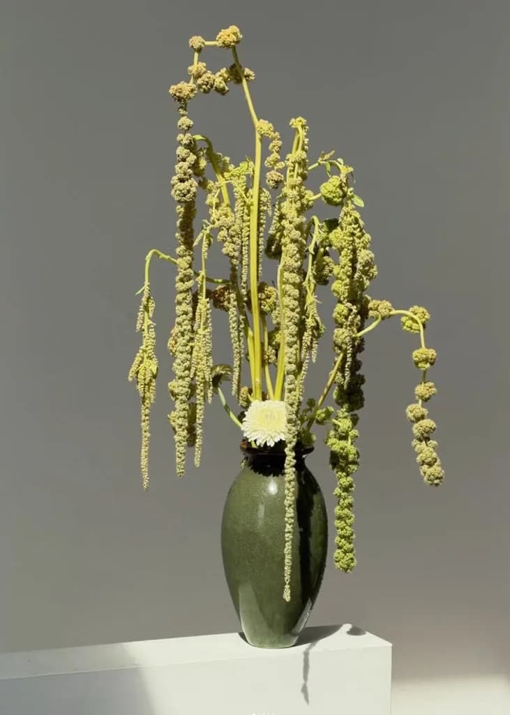 Green amaranthus tassels in an olive ceramic vase