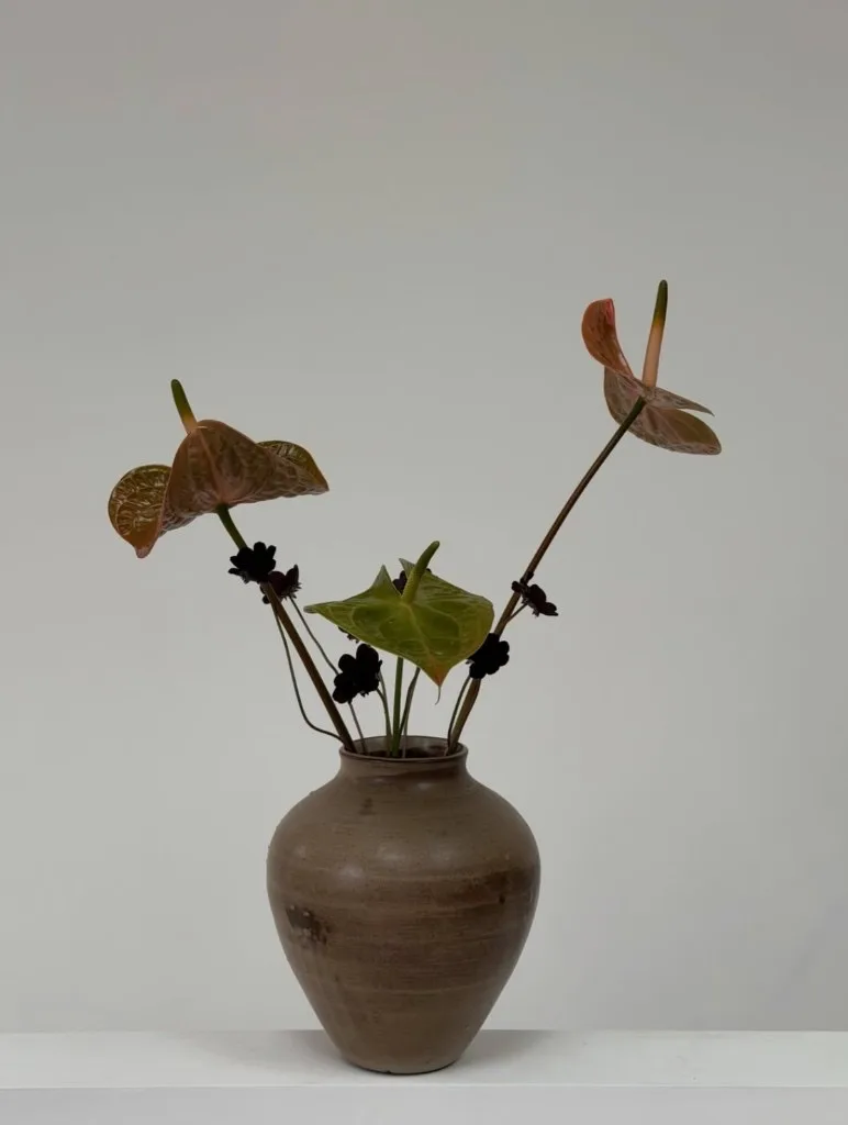 Terracotta anthuriums with deep burgundy accents