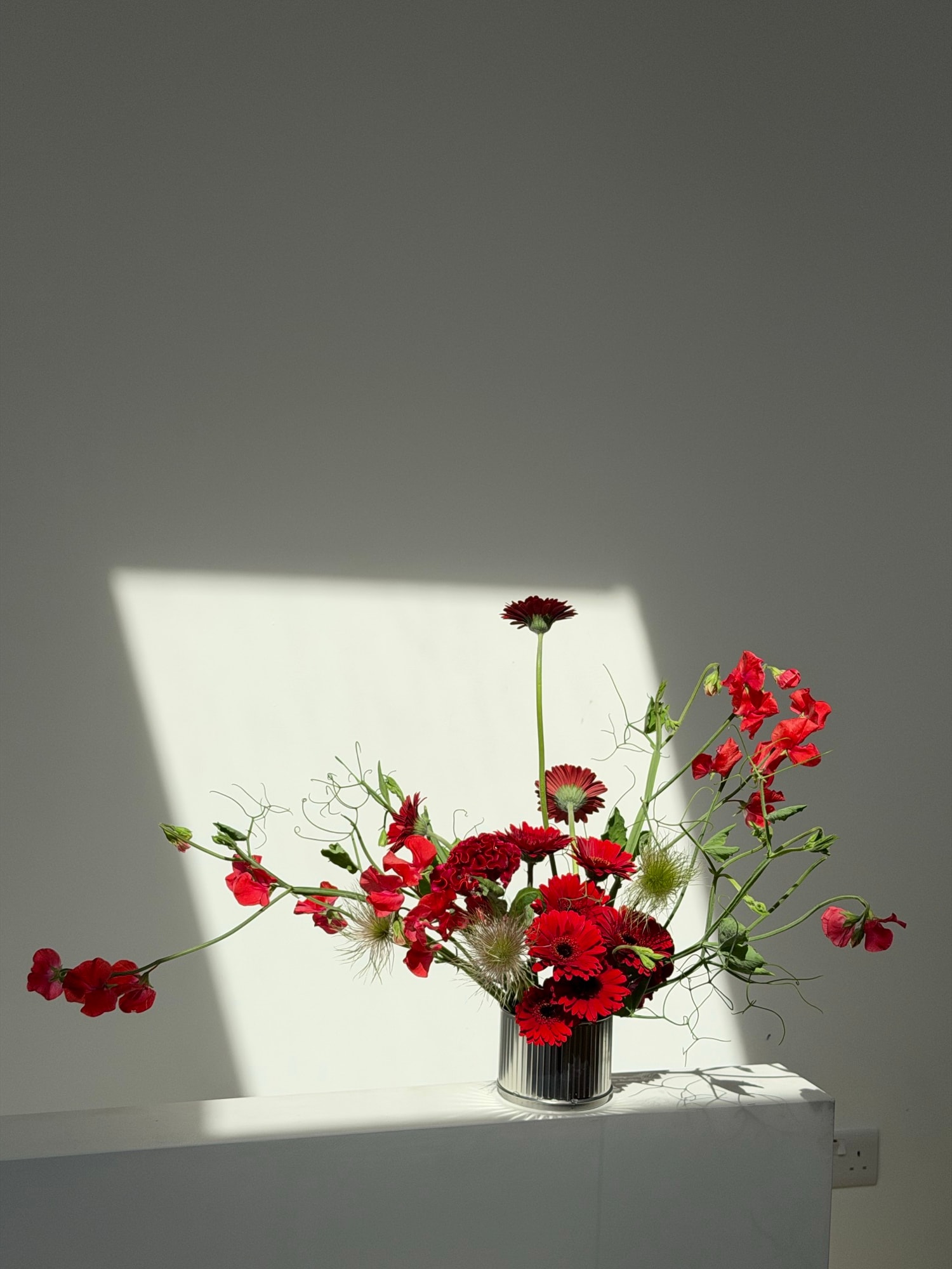 Sculptural red gerberas and sweet peas in a silver cylinder vase against a sunlit white wall