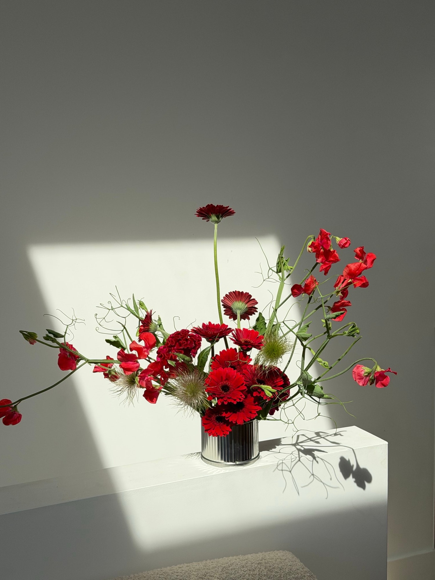 Asymmetrical red gerbera and sweet pea arrangement in a chrome vase with bold wall shadows