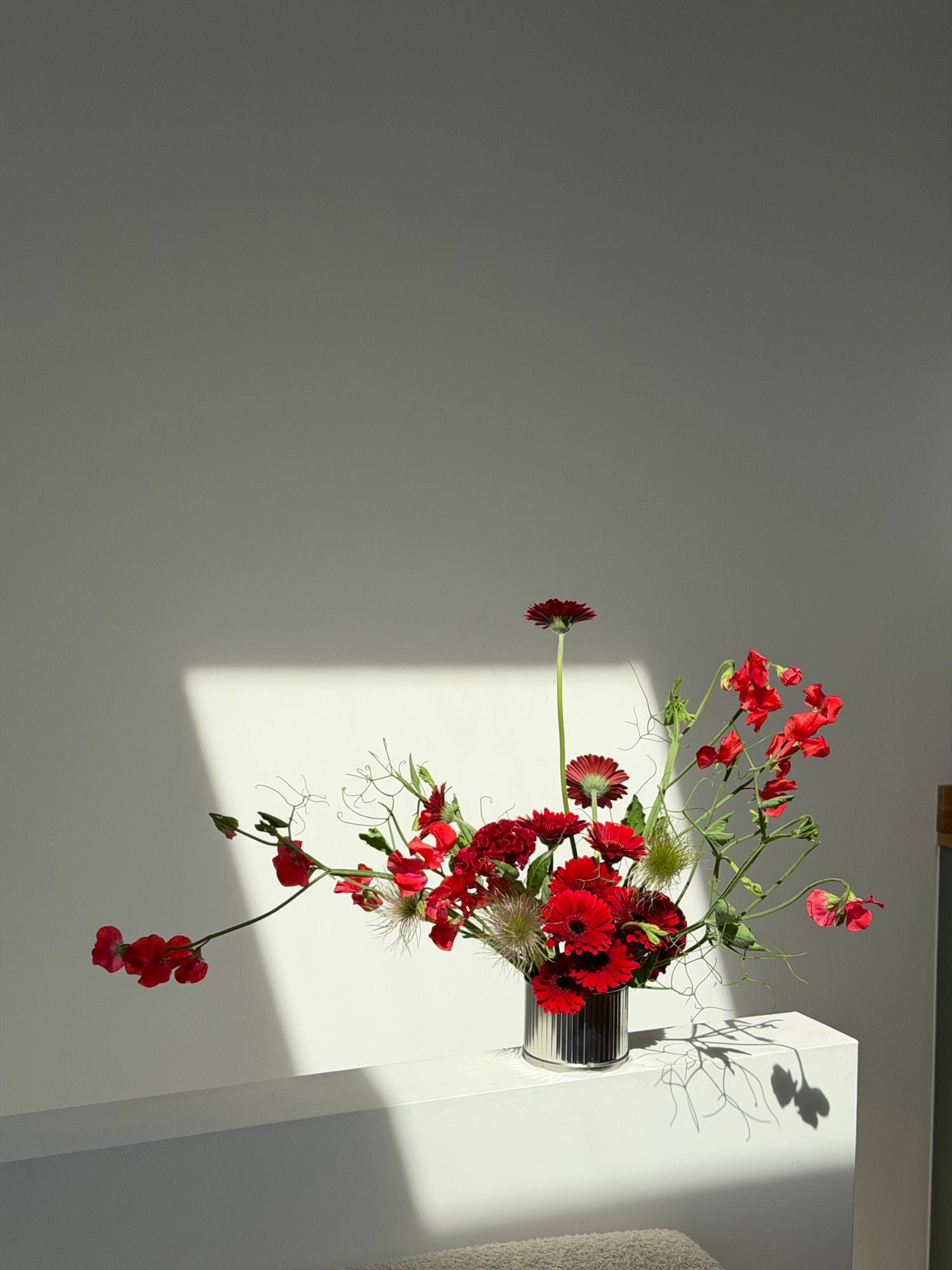Dynamic red flowers in a polished silver vase with a bright rectangular patch of sunlight