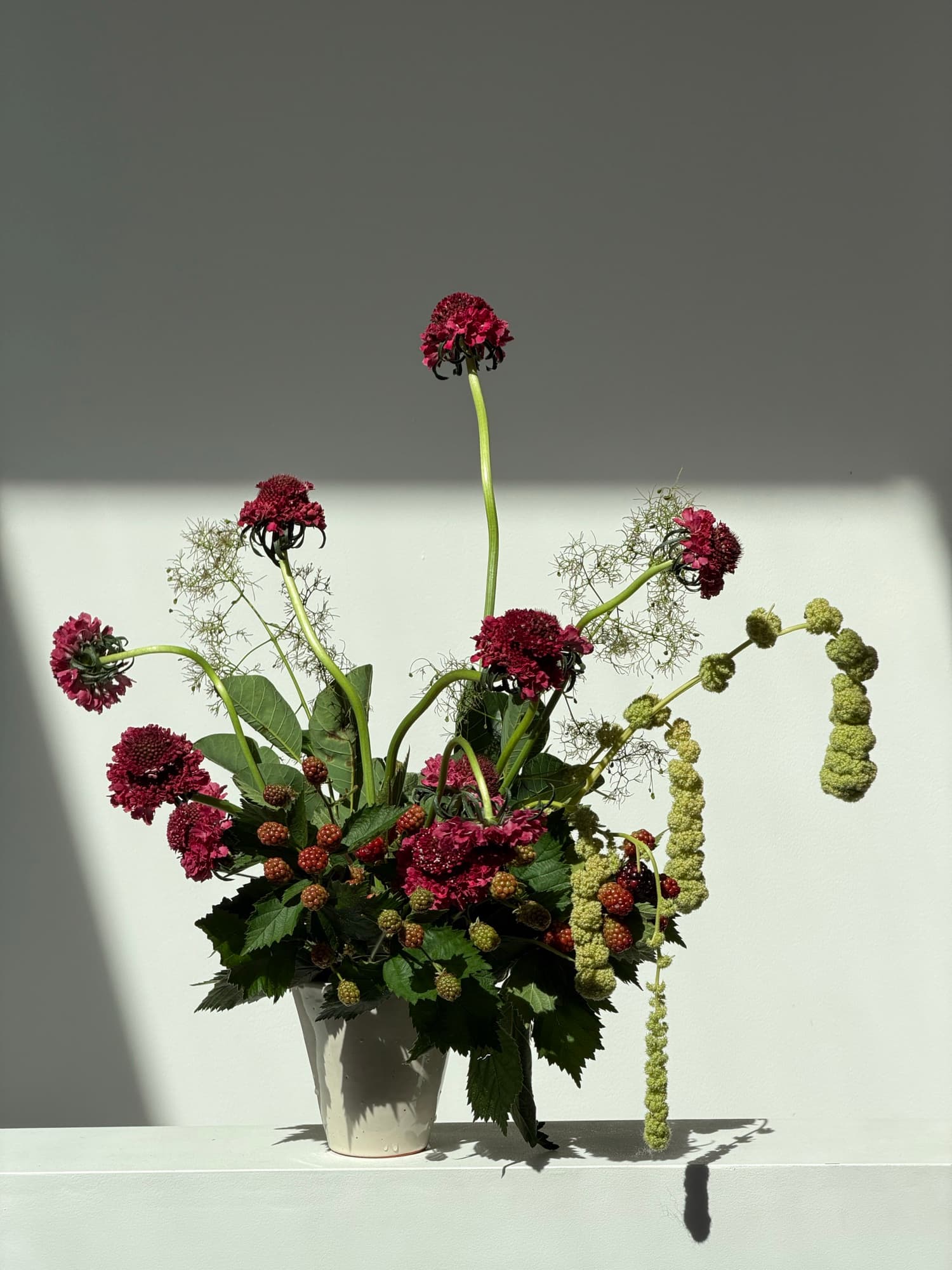Bouquet photograph with a provisional identification of Lace flower