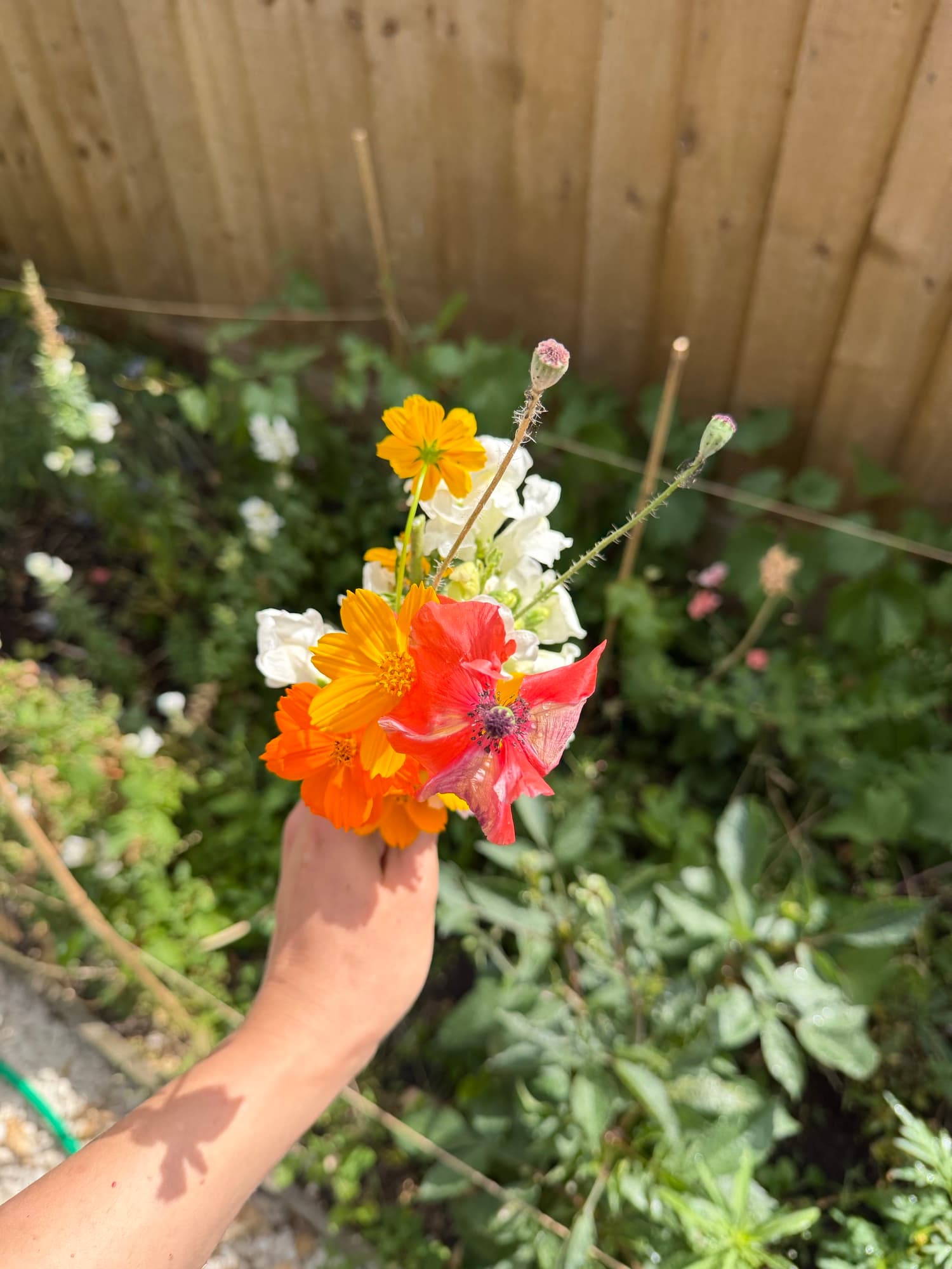Bouquet photograph with a provisional identification of Poppy