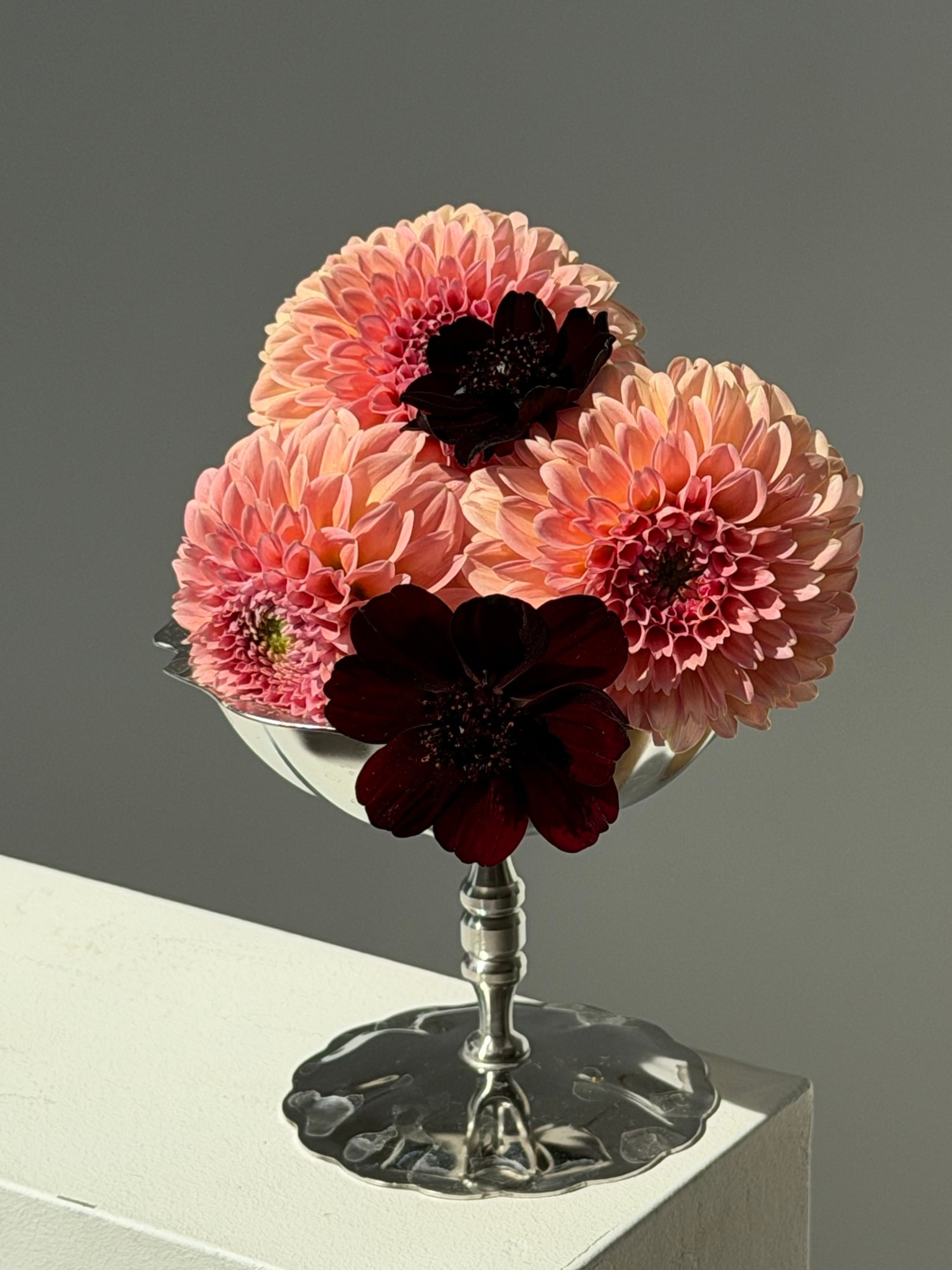 Three peach dahlias and chocolate cosmos in a polished silver chalice against a grey backdrop