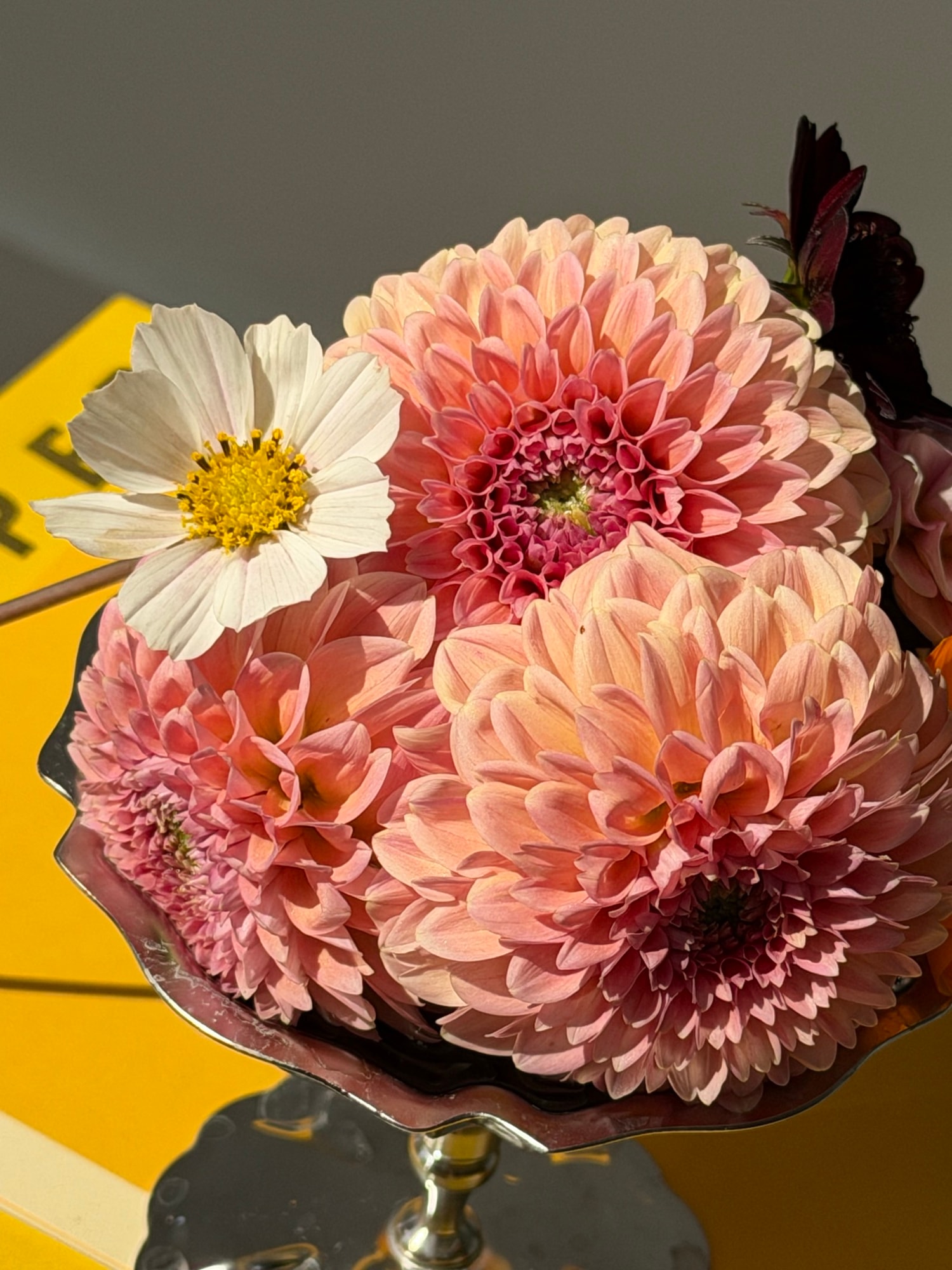 Peach dahlias and white cosmos in a silver scalloped bowl