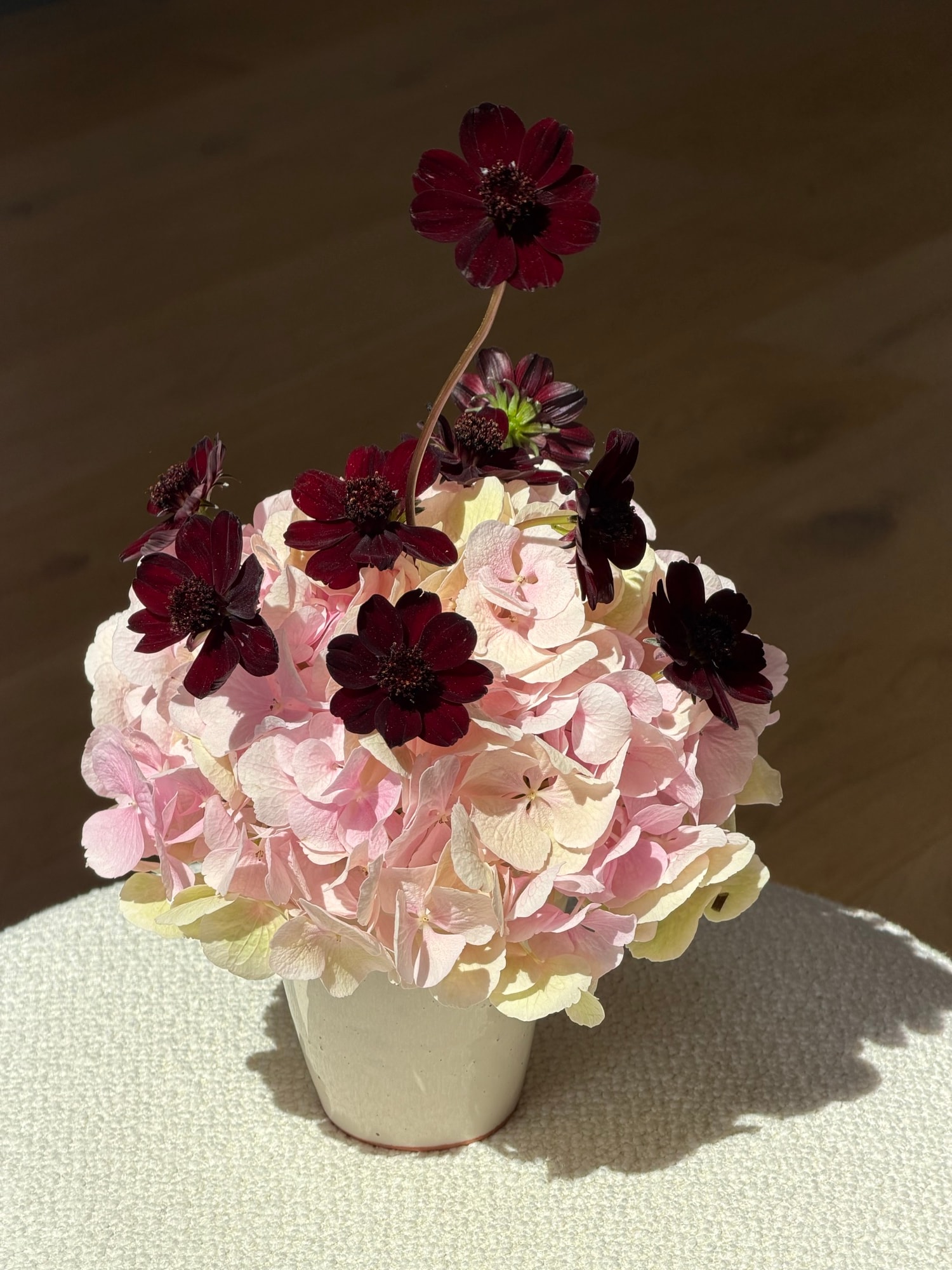 Pale hydrangeas and chocolate cosmos in white vase on textured rug