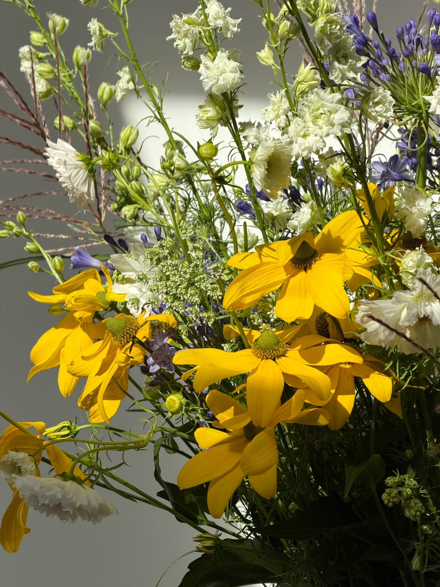 Close crop of yellow rudbeckia with white and blue filler blooms
